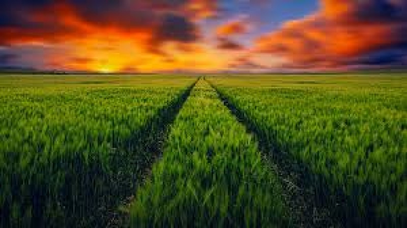 Agriculture